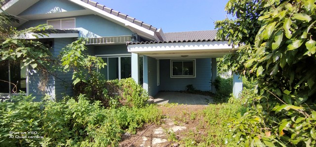   Code ID : PGCMI-LB-A-650039  ราคา   2,600,000  บาท ▸ เนื้อที่ 54 ตร.ว  พื้นที่ใช้สอย 133.9 ตร.ม.   ▸ 3 ห้องนอน 2 ห้องน้ำ    ▸ 1 ที่จอดรถ   บ้านหันไปทางทิศตะวันออกเฉียงเหนือ  พิกัดทรัพย์ : https://maps.app.goo.gl/8mTf6aXSZ9o2Whit5  สถานที่ใกล้เคียง ▸ใกล้  ตลาดสดสันกำแพง ▸ใกล้  โรงเรียนบ้านสันกำแพง ▸ใกล้  โรงพยาบาลสันกำแพง ▸ใกล้  วัดป่าตาล อ.สันกำแพง  สอบถามเพิ่มเติม / นัดชม โทร. 097-419-5982(พลอย) โทร. 096-932-4624(ออมสิน) Line : @panaya (มี@ด้านหน้า)  ปรึกษาสินเช�