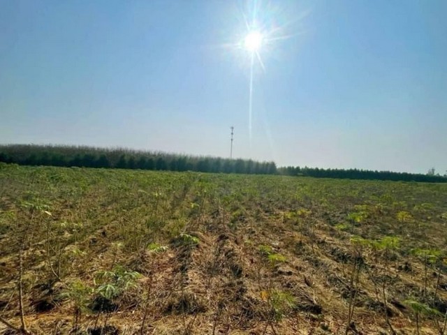 TEL : 092-288 9359 คุณดนิตาLine : https://line.me/ti/p/yxo92dHWP1ขายที่ดินแปลงสวย เกษตรสุวรรณ อ.บ่อทอง จ.ชลบุรีรายละเอียด : เนื้อที่ดินขนาด 31-0-92 ไร่ (12,492 ตรว.)ด้านหลังติดโรงงานด้านหน้าติดถนนดำราคาขายไร่ละ 900,000 บาท ราคาตารางวาละ 2,250 บาท ราคาขายยกแปลง 28,107,000 ล้านบาท F-A4 (To22)