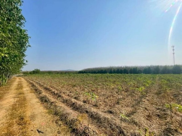 ขายที่ดินแปลงสวย โซนเกษตรสุวรรณ บ่อทอง ชลบุรี FP-L0499