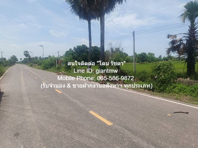 พื้นที่ดิน ขายที่ดินทุ่งนาแปลงใหญ่ติดถนนใหญ่ อ.วังทอง จ.พิษณุโลก 53-3-98 ไร่, 11,878,900 บาท  ขนาดพื้นที่ 98 SQ.WA 3 NGAN 53 RAI  11878900 thb ไม่ไกลจาก สวนน้ำรุ่งวาสนา 4 กม. หรือ 355 กม. จากกรุงเทพมหานคร มือสอง