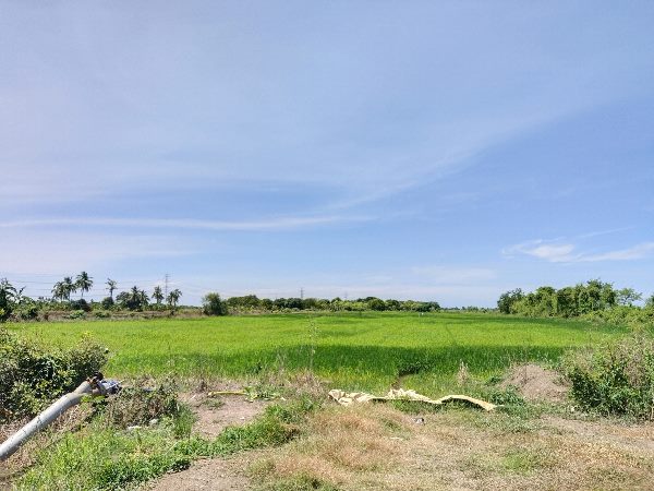 ขายที่ดินเปล่า 9 ไร่ – งาน 344 ตร.วา ตำบลท่าช้าง อำเภอวิเศษชัยชาญ จังหวัดอ่างทอง