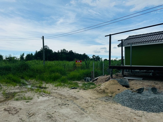 ขายที่ดินเปล่า  1 ไร่  หนองบอนแดง บ้านบึง ชลบุรี   ZT490