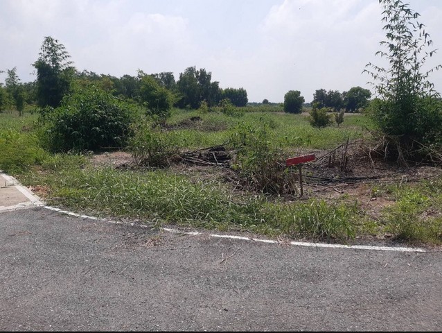 ขายที่ดิน 2 ไร่ สามารถออกแบบและสร้างบ้านได้ตามต้องการ ตำบล คลองห้า  อำเภอ:คลองหลวง •จังหวัด ปทุมธานี