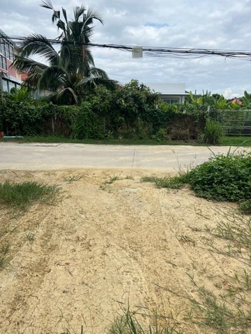 ที่ดินติดถนน ใกล้เมือง วิวดอย ดอนแก้ว แม่ริม             