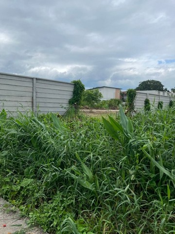 ที่ดินแปลงสวย ใกล้รพ.นครพิงค์ ดอนแก้ว แม่ริม