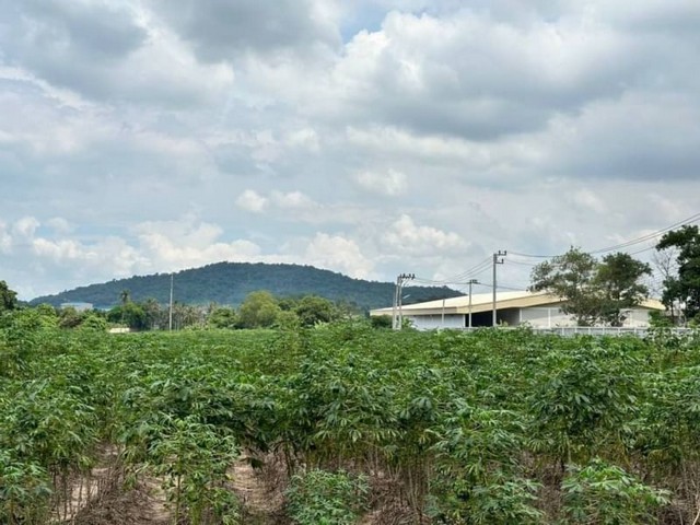 TEL : 092-288 9359 คุณดนิตาLine : https://line.me/ti/p/yxo92dHWP1ขายที่ดินแปลงสวย เขาคันทรง  บ่อวิน ศรีราชา ชลบุรี ติดกับนิคมเหมราชชลบุรีรายละเอียด : เนื้อที่ขนาด 45-3-95 ไร่ (18,395 ตรว.)ที่ดินติดกับรั่วของนิคมจีน​ด้านหลังที่ติดกับนิคมเหมราชบ่อวินที่สวยมากสี่เหลี่ยมพื้นผ้าที่ไม่ต้องถมไฟฟ้าสามเฟสติดถนน 2 ด้าน​มีลำลางสาธารณะถนนหน้าที่ดินกว้าง 8 เมตรที่ดินติดถนนหน้ากว้างถึงเกือบ 200 ม.ราคาขายไร่ละ 3