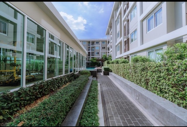 MT Residence   คลองหลวง ห้องสวย ตกแต่งครบ คอนโดใกล้ ม.ธรรมศาสตร์ ที่ตั้ง : ตำบล คลองสาม อำเภอคลองหลวง ปทุมธานีรายละเอียด- ห้องชุดพาณิชย์ 5 ชั้น- ขนาด 33.86 ตรม. - เครื่องใช้ไฟฟ้า -เฟอร์นิเจอร์- เฟอร์นิเจอร์ครบ- ตู้เย็น,ไมโครเวฟ,กาต้มน้ำ,เครื่องทำน้ำอุ่น,แอร์ 2 เครื่องสถานที่ใกล้เคียง ติดวัดพระธรรมกาย ใกล้ตลาดไท ตลาดไอยรา เทสโก้ โลตัส แม็คโคร-คลองหลวงม.ธรรมศาสตร์-รังสิต และ ม.กร