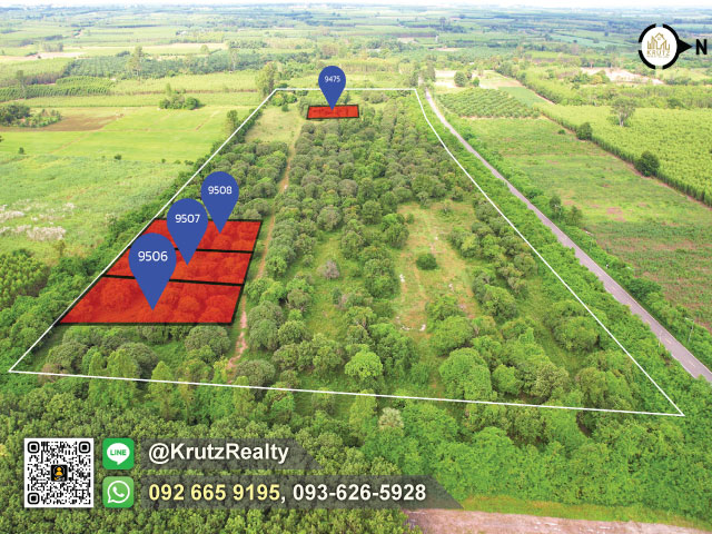 ขายด่วน ที่ดินสวนมะม่วง 1 ไร่ 213 ตรว ราคาถูก ราคาน่าลงทุน ต.วังเย็น อ.แปลงยาว จ.ฉะเชิงเทรา 