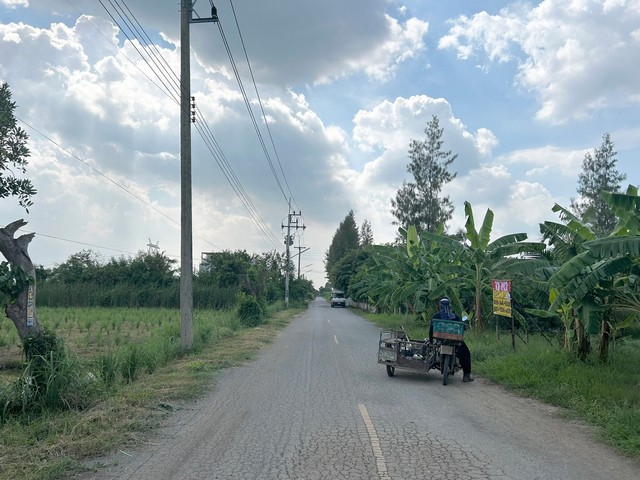 ขายที่ดินพร้อมสิ่งปลูกสร้าง เนื้อที่ 4 ไร่ ซอยบึงชำอ้อ 1   คลอง8 หนองเสือ ปทุมธานี  ZJ139