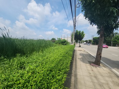 โอกาสสร้างความสำเร็จ! ที่ดินเปล่าทำเลดี พื้นที่ศักยภาพสำหรับธุรกิจขายที่ดิน แปลงสวย 3 ไร่ 3 งาน 94.6 ตร.ว. ในทำเลที่พร้อมตอบรับการขยายตัวของกรุงเทพ ติดถนน บางบอน 5 - เพชรเกษม 81 ทำเลที่เชื่อมต่อได้ทั้งถนนพระราม 2, เพชรเกษม ใกล้แหล่งเศรษฐกิจ สถานศึกษา และชุมชนขนาดใหญ่ สามารถดึงดูดลูกค้าได้จากทุกภูมิภาค เป็นที่ดินศักยภาพสูงในราคาสุดคุ้ม เพียง 50,000 บาท/ตร.ว.!.ที่ดินแ