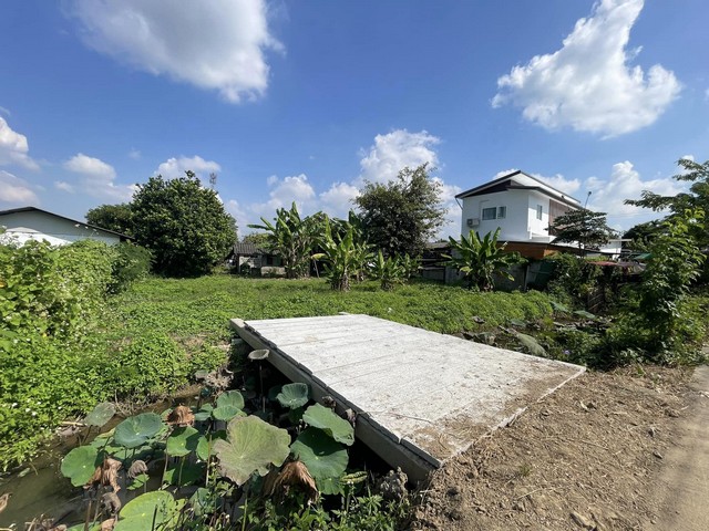 ที่ดินทำเลดีใกล้ตลาดสดน้ำโท้ง ติดลำเหมือง ทำบ้านขายหรือ ทำบ้านไว้เช่าคุ้ม