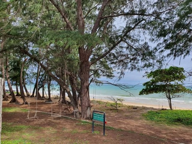 ขายที่ดินหาดแม่รำพึง ระยอง แปลงสวย ทำเลดีมาก FP-L0541