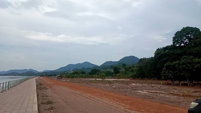 ขายที่ดินสวย ริมโขง ต. บุฮม อ.เชียงคาน จ.เลย ที่ดิน 165ไร่