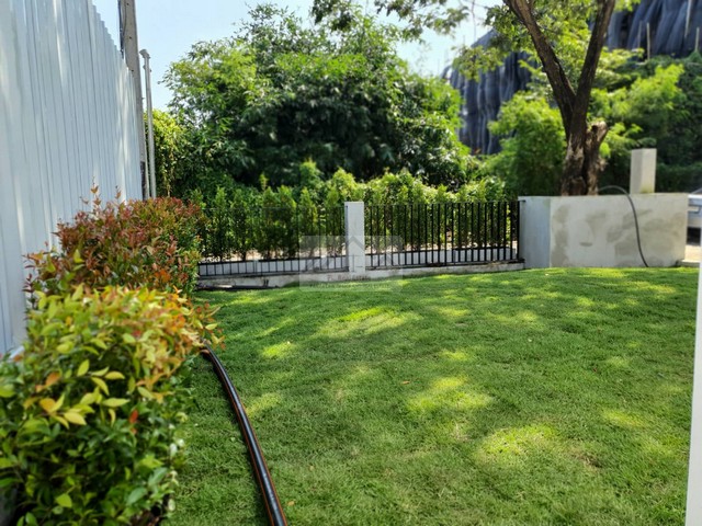 ให้เช่า Pool Villa บ้านเดี่ยว 3 ชั้น สร้างใหม่ Modern Luxury 250 ตรว. สุขุมวิท 62 Roof Top และสระว่ายน้ำกลางบ้าน ใกล้ทางด่วน ใกล้ BTS บางจาก