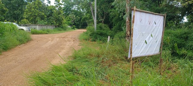 ขายที่นาราคาถูก   7-0-0  ไร่  บ้านโนนสวรรค์ ต.แดงใหญ่ อ.เมือง จ.ขอนแก่น  ZE723