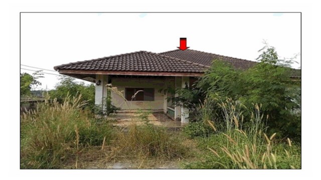   Code ID : PGLPG5312  ราคา  1,200,000  บาท ▸ เนื้อที่ 1 งาน 80 ตร.ว   พื้นที่ใช้สอย 120.5 ตร.ม.   ▸ 3 ห้องนอน 2 ห้องน้ำ    ▸ 1 ที่จอดรถ   บ้านหันไปทางทิศตะวันออกเฉียงใต้  พิกัดทรัพย์ : https://maps.app.goo.gl/Nf9hQYqbFZrxs2oY6  สถานที่ใกล้เคียง ▸ใกล้  ไทวัสดุ ลำปาง ▸ใกล้  โรงพยาบาลลำปาง ▸ใกล้  เซ็นทรัล ลำปาง   ▸ใกล้  ท่าอากาศยานลำปาง  สอบถามเพิ่มเติม / นัดชม โทร. 097-419-5982(พลอย) โทร. 096-932-4624(ออมสิน) Line : @panaya (มี@ด้านหน้า)  ปรึกษาสินเชื่อฟรี One Stop Service ดู�