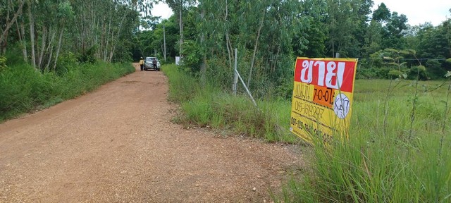 ขายที่ดินเปล่า 7-0-0  ไร่  ราคาถูก บ้านโนนสวรรค์ ต.แดงใหญ่ อ.เมือง จ.ขอนแก่น  ZE724