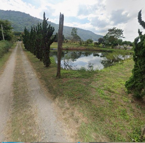 ขายที่ดินสวย บรรยากาศดี ต. หนองบัว อ. ภูเรือ จ.เลย ขนาดที่ดิน 2 ไร่