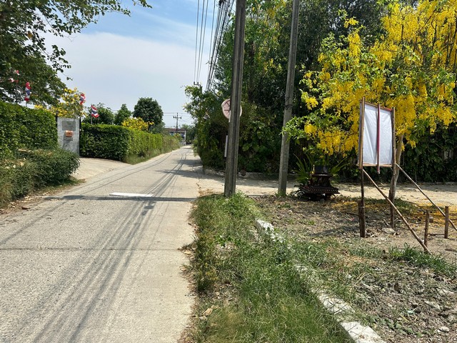 ขายที่ดิน ซ.อ่อนนุช66 แยก19-15 แปลงมุม  เนื้อที่ 110 ตารางวา  พระโขนง  กรุงเทพ  ZT492