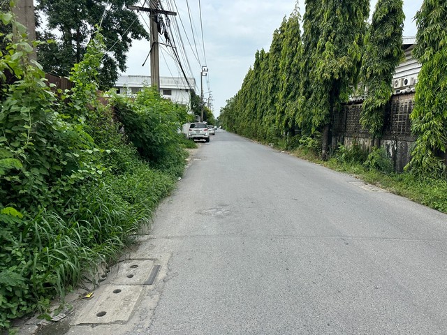 ขาย/เช่า ที่ดิน 374 ตรว.  ซอยลาดพร้าว 80 แยก 26  วังทองหลาง  กรุงเทพ  ZT491