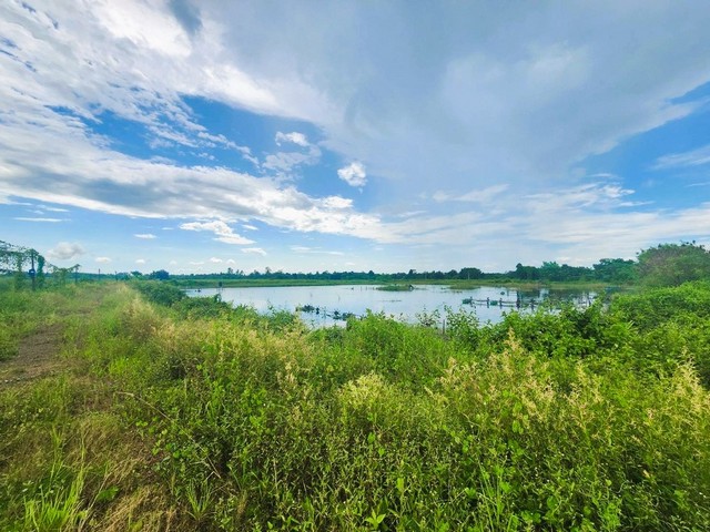 ขาย ที่ดิน เปล่า บ่อกุ้ง เนื้อที่ 67-2-03 ไร่ ตำบลท่ากุ่ม อำเภอเมือง จังหวัดตราด ใกล้ถนนใหญ่ ราคาต่อรองได้Google map: https://maps.app.goo.gl/iX5taqNcJ45K3iuq6ตั้งอยู่ ถนนเสม็ดแดง-ท่าเนินโพธิ์ ตำบลท่ากุ่ม อำเภอเมืองตราด จังหวัดตราด 23000- เนื้อที่ 67-2-03 ไร่ (คิดเป็น 27,003 ตารางวา)- เอกสารสิทธิ์ เป็นโฉนดที่ดิน นส.4 (ครุฑแดง)- ขายพร้อมบ้าน 2 หลัง อยู่ในที่ดิน- เหมาะทำ บ่อกุ้ง สวนยาง- ห่างถนนใหญ่ ท่าพริก-ตราด เพียง 5