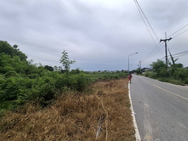 ขายที่ดินติดถนน อำเภอบ้านฉาง จังหวัดระยอง ขนาด 5 ไร่ 1 งาน 55 ตารางวา