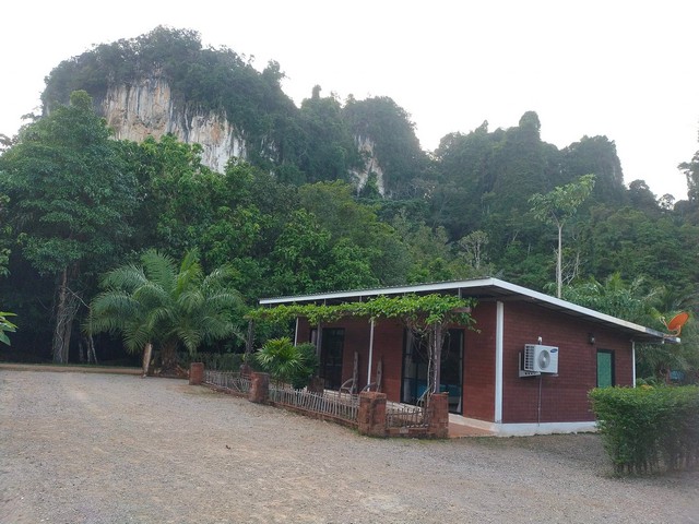 ขายด่วนที่ดินเนื้อที่ 2 ไร่กว่าพร้อมบ้านพัก อ่าวลึกเหนือ จังหวัดกระบี่ ที่ดินติดภูเขาบรรยากาศดี ใกล้แหล่งท่องเที่ยว