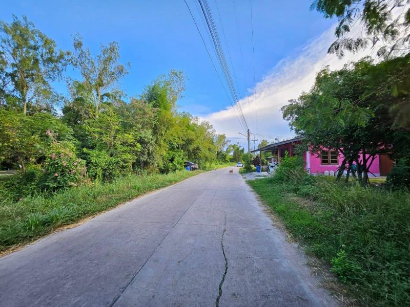 ขายที่ดินโฉนดหลักแสน0989955449 มีน้ำประปา มีไฟฟ้า พร้อม ​ที่ดินเป็นโฉนดครุฑแดงพร้อมโอน