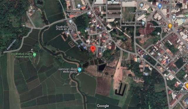 ขายที่ดินเปล่า 295 ตารางวา ตำบลสูงเนิน  อำเภอสูงเนิน จ.นครราชสีมา