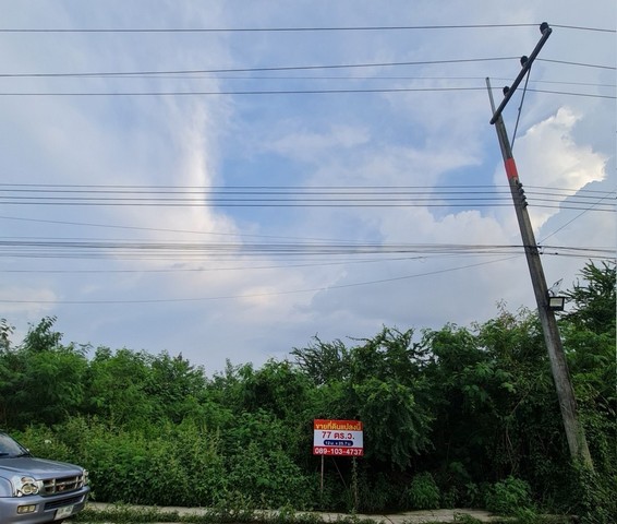 ขายที่ดิน ถนน ค.ส.ล. ที่ถมแล้ว พร้อมปลูกสิ่งก่อสร้างอยู่เส้นถนนฉะเชิงเทรา กบินทร์บุรี 