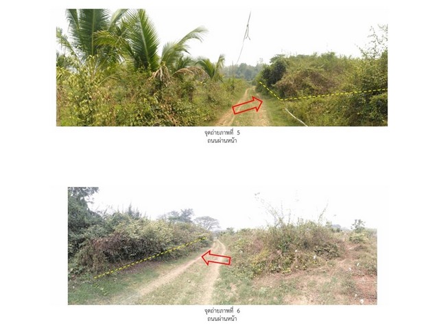 ขายที่ดิน อำเภอเถิน  จังหวัดลำปาง  3 ไร่ 1 งาน 64 ตร.ว