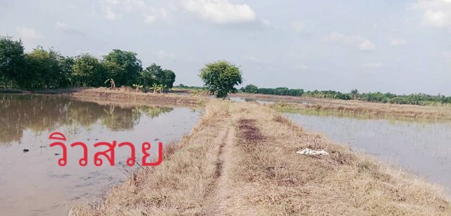 ซื้อขายบ้านที่ดินเจ้าของขายเอง แบ่งโฉนดขายที่ดิน อ.ลาดหลุมแก้ว  ปทุมธานีไร่ละ 800000 โทร 083-7124115