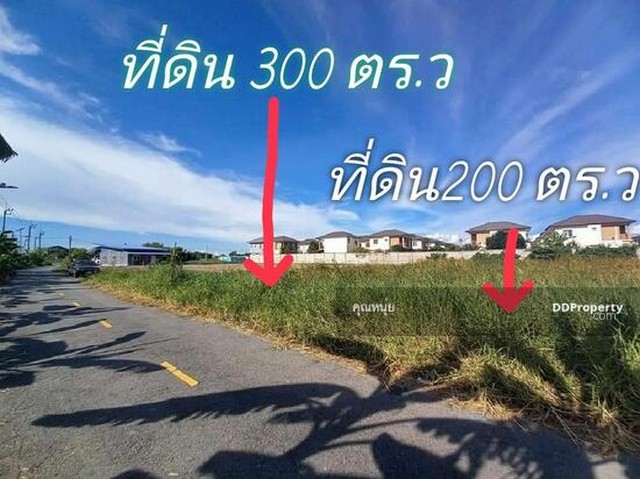 ขายที่ดินติดถนนวิวคลอง ขนาด 300  ตร.ว เหมาะสร้างบ้าน ถนนเรียบคลองเจริญสุข. ขายถูก ต.บางแม่นาง_อ.บางใหญ่_จ. นนทบุรีเหมาะกับการอยู่อาศัยหรือประกอบกิจการเล็กๆ เช่นบ้านเช่า  ทำโครงการ น่าลงทุน เป็นมรดกให้ลูกหลานติดหมู่บ้านธนาวิลเลจ ใกล้ตลาดกลางบางใหญ่แค่ 15 นาที ออกได้หลายทางเช่น ซอยวัดลาดปลาดุก ซอยหมู่บ้านบางใหญ่ซิตี้ เดินทางสะดวก #ทำเลดีจับจองโซนCBDด้านตะวัน