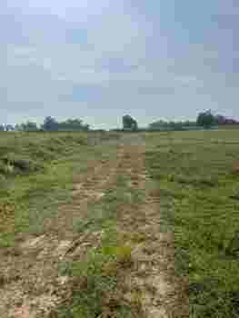 ขายที่ดินเปล่าติดถนน ทำเลทอง อำเภอแม่ระมาด จังหวัดตาก