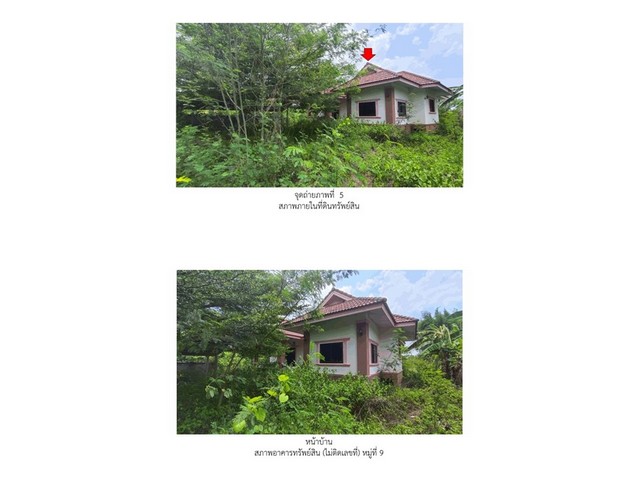 ขายบ้านเดี่ยวมือสอง อำเภอบ้านโฮ่ง   จังหวัดลำพูน