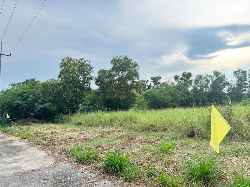 ที่ดินติดสนามกอล์ฟนอร์ทเธิร์นรังสิต ที่ดินแปลงสวย ขนาด 427 ตรว.