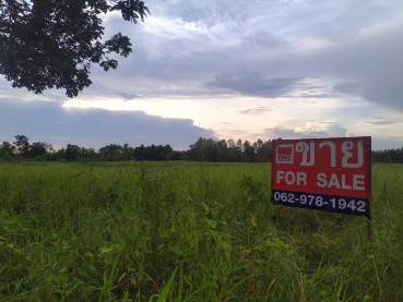  M7964ขายที่ดิน6ไร่ ราคาถูก อยู่ใกล้โรงพยาบาลบ้านผือ อยู่ระหว่างรอยต่อบ้านผือกับบ้านค้ออยู่ใกล้สถานที่ท่องเที่ยวและสถานที่ราชการ เหมาะสำหรับทำการเกษตรหรือสร้างรีสอร์ท *ที่ตั้ง.บ้านผือ ซอยพนมรัตน์ ถนนบ้านค้อ ตำบลบ้านผือ อำเภอบ้านผือ จังหวัดอุดรธานี *สถานที่ใกล้เคียง-โรงพยาบาลบ้านผือ-การไฟฟ้าบ้านผือ-ร่มรื่นรีสอร์ทบ้านผือ *ราคา.2,350,000บาท *สอบถามรายละเอียดเ