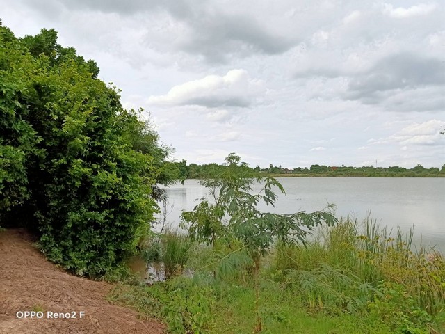 ขายที่ริมน้ำแปลงสวยเหมาะสร้างบ้าน 1 ไร่ 2 งาน 40 ตารางวา นครปฐมที่ตั้ง : ตำบลบ้านยาง อ.เมืองนครปฐม นครปฐมขนาดพื้น  : 1 ไร่ 2 งาน 40 ตารางวา รายละเอียดขายที่ริมน้ำแปลงสวยเหมาะสร้างบ้าน โฉนด1 ไร่ 2 งาน 40 ตารางวา มีเพื่อนบ้านไฟฟ้าประปาพร้อม บรรยากาศดีเหมาะทำบ้านสวนหรือรีสอร์ทเดินทางสะดวกไม่ไกลจากตัวเมือง พิกัดตำบลบ้านยางอ.เมืองนครปฐมสถานที่ใกล้เคียงพิพิธภัณฑ์โรงง