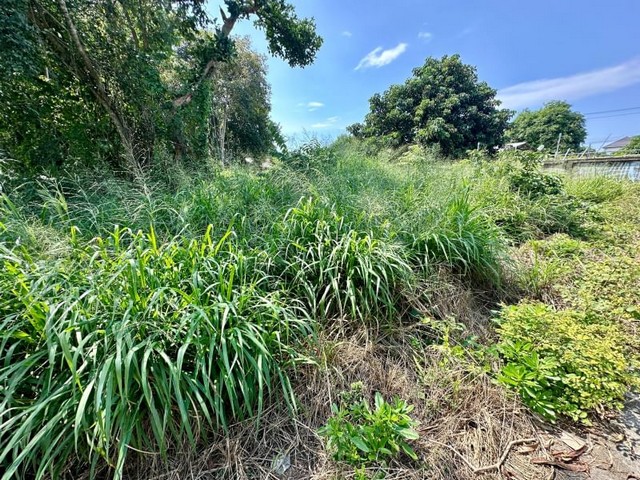 ขาย ที่ดินเปล่า นาพร้าว ศรีราชา ที่ดินสวย โซนชุมชน TP-L0688