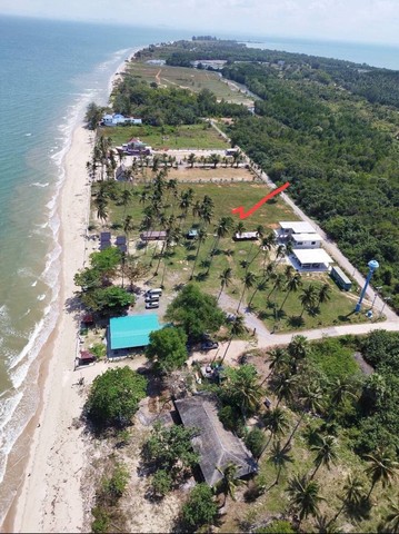 M650349ขายที่ดินติดทะเล ที่สวย ทำเลดีต. พุมเรียง อ. ไชยา จ. สุราษฎร์ธานีที่ดิน 2 แปลง แปลงละ 2 ไร่ 40 ตารางวาราคา ไร่ละ 6.5 ล้านที่ดิน2แปลงอยู่ติดกัน แบ่งแยกโฉนดเป็น2 ใบ หน้าทะเลกว้าง 40 เมตรใกล้สถานที่ท่องเที่ยวแต่ไม่วุ่นวาย เดินทางสะดวกข้างๆ เป็นร้านอาหาร รีสอร์ท สถานที่ใกล้เคียงห่างจากสนามบินสุราษฎร์ 35-40 กม.จากถนนเส้นหลังเอเชีย 10 กม.โทร: แหม่ม083​ 459 2878ID Line:madosiam5678หรือคลิกลิงค