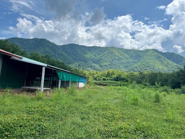 บ้านพร้อมที่ดินแปลงงาม ต.นาป่า อ.เมือง จ.เพชรบูรณ์ (ทางขึ้นตาดหมอก)