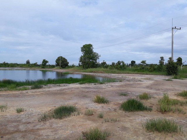 ขายที่ดิน 5-10 ไร่ หนองเสือ ปทุมธานี รังสิตคลอง13 ห่างจากฟิวเจอร์รังสิตแค่ 45 กม.ขับรถไม่ถึงชั่วโมง  มีบ่อ 2 บ่อ โทร 086-397-4454