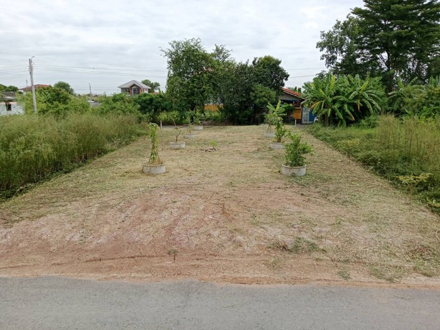 ขายที่ดิน แปลงสวย หนองจอก ติดถนนสาธารณะ 2 ด้าน ซอยไปรษณีย์ (ใกล้ ซีพี) ถนนสุวินทวงศ์ แขวงลำต้อยติ่ง เขตหนองจอก กทม. ❤️ ที่ดิน ติดถนน 2 ด้าน,สามารถทำแปลงเกษตร ร้านค้าร้านอาหาร คาเฟ่ พักอาศัย โกดัง ตอบโจทย์ทุกข้อ 