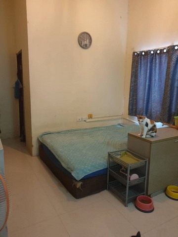 ขายบ้านเดี่ยว 1 ชั้น  ซอยคุ้มเกล้า 5 ถนนสุวินทวงศ์ ถนนคุ้มเกล้า แขวงลำปลาทิว เขตลาดกระบัง กรุงเทพมหานคร