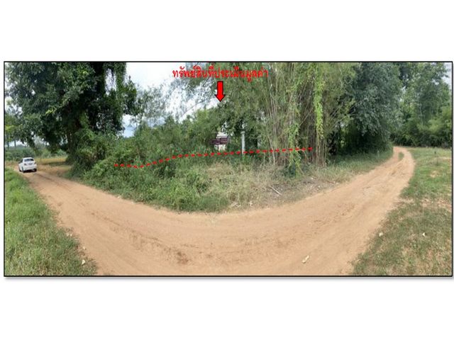   Code ID : PGTAK640015  ราคา 2,050,000 บาท ▸ เนื้อที่ 96.90 ตร.ว  พื้นที่ใช้สอย 222.5 ตร.ม.   ▸ 4 ห้องนอน 3 ห้องน้ำ    ▸ 2 ที่จอดรถ   พิกัดทรัพย์ : https://maps.app.goo.gl/FLvck9nTbKbc9DCN8  สถานที่ใกล้เคียง ▸ใกล้ ไทวัสดุ ตาก ▸ใกล้ โลตัส ตาก ▸ใกล้ โรงพยาบาลสมเด็จพระเจ้าตากสินมหาราช ▸ใกล้ โรงเรียนตากพิทยาคม  สอบถามเพิ่มเติม / นัดชม โทร. 097-419-5982(พลอย) โทร. 096-932-4624(ออมสิน) Line : @panaya (มี@ด้านหน้า)  ปรึกษาสินเชื่อฟรี One Stop Service ดูแลตั้งแต่ต้นจนจบบริษัท 