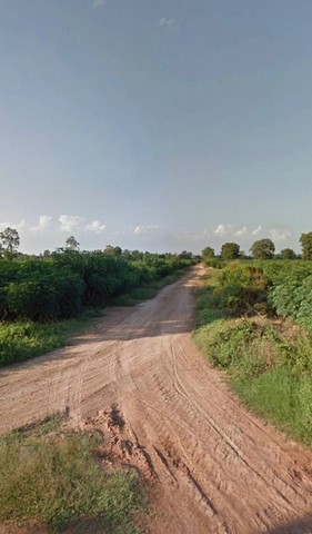 ขายที่ดิน ต. ท่าแดง อ. หนองไผ่ จ. เพชรบูรณ์ 8 ไร่ 1 งาน 45 ตารางวา