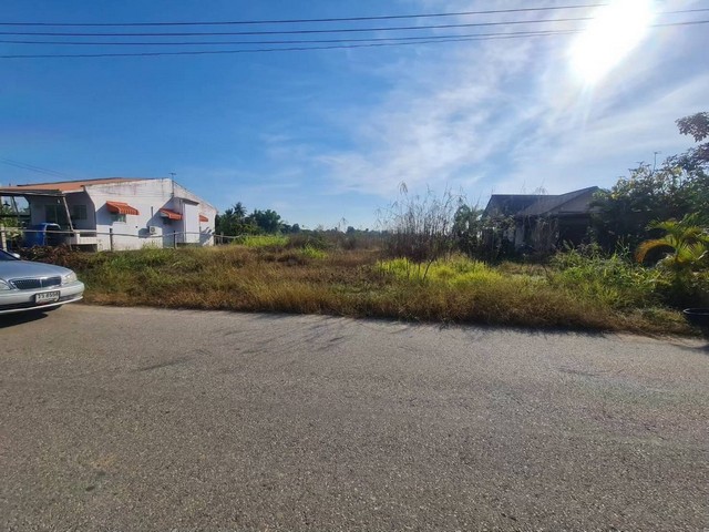 ขายที่ดิน ตำบลบึงพระ อำเภอเมือง จังหวัดพิษณุโลก เนื้อที่ 2 งาน