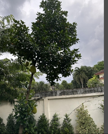 ให้เช่าและขาย บ้านเดี่ยว Perfect Place รัตนาธิเบศร์ ไทรม้า