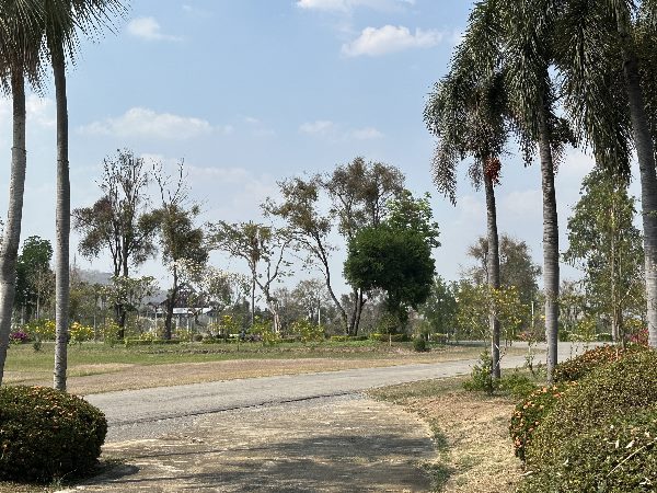 ที่ดินแปลงสวย เพชรบูรณ์ การ์เด้นฮิลล์ บึงสามพันราคาดีที่สุดในย่านนี้เนื้อที่ 1 ไร่ราคา 550,000 บาทย่านชุมชน เหมาะปลูกบ้านสาธารณูปโภค น้ำ ไฟ พร้อมอยู่ใกล้กับสหฟาร์ม#ที่ดินเปล่า #เพชรบูรณ์ #บึงสามพัน #ที่ดินเปล่าน่าลงทุน #ที่ดินทำเลดี #ที่ดินติดต่อ ภัทรศรัณย์ 0943292623ที่ดินแปลงสวย เพชรบูรณ์ การ์เด้นฮิลล์ บึงสามพันราคาดีที่สุดในย่านนี้เนื้อที่ 1 ไร่ราคา 550,000 บาทย่านช