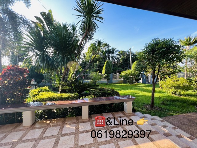 ขายบ้านใหญ่ สวนสวย ที่ดินกว้าง ห้องนอนเยอะ ในเมืองหนองคาย